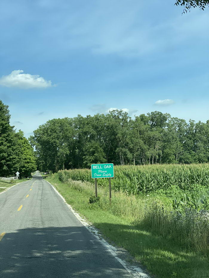 Bell Oak - July 2020 Photo Of Bell Oak (newer photo)